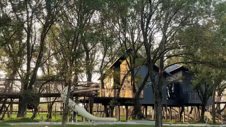 Wanshan Green Paradise Tongyu Tree House Homestay