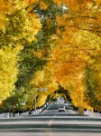 Datcang Homestay (Kangding Xinduqiao Town) Hotels in Kangding
