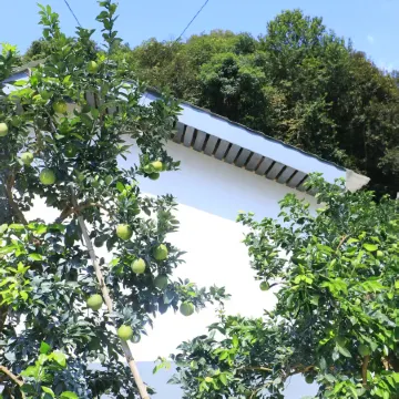 Chongyi Tianxi Homestay