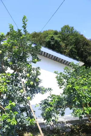 Chongyi Tianxi Homestay