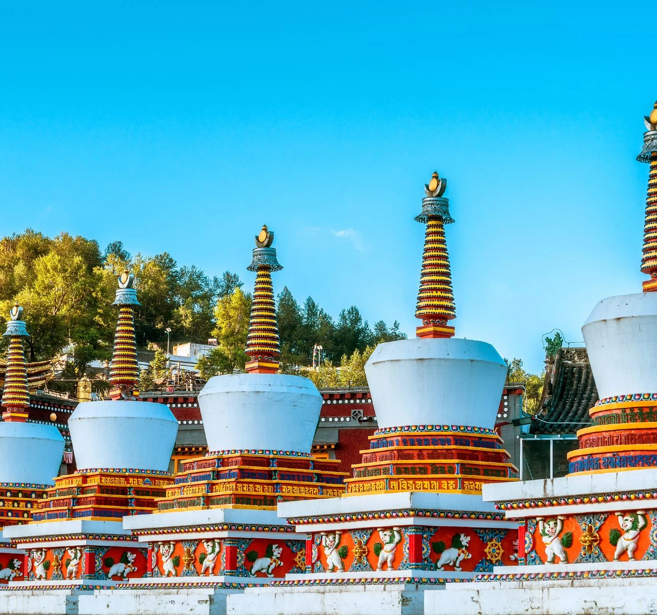 <h1>興隆康樂園高爾夫俱樂部附近酒店</h1>