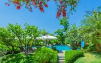 World Dinosaur Valley Hot Spring Hotel - Pools