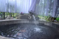 Ming Resort & Spa - Hot Springs