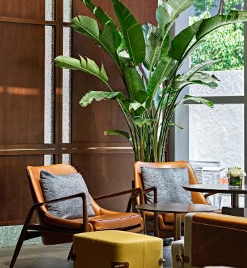 2. 힐튼 상하이 훙..