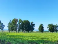 Tekes Banshan Tingfeng Homestay
