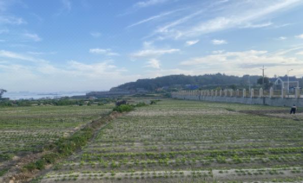 Pingtan Chaohai Xibei Homestay