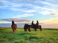 Mu Lang 1993 Hidden World Hotel