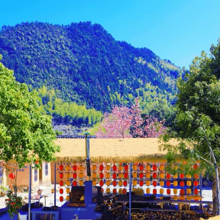 Ziyunli  Homestay