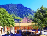 Ziyunli  Homestay