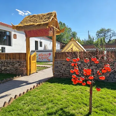  Cloud Nest Villa Hotels near Yungang Grottoes