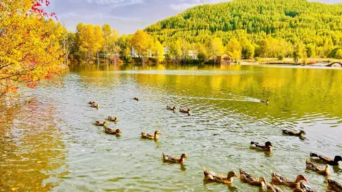 Da Hinggan Ling Yunxi Forest Scenery Yangxin Valley - 주차장