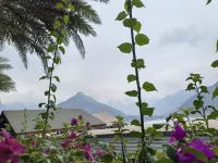Dongnan Garden Homestay - Mountain view