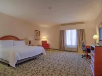 Hilton Garden Inn Las Vegas Strip South Hotels near Bass Pro Shops