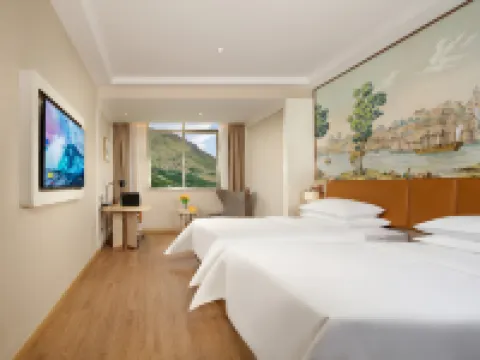 Vienna Hotel Rebo County store Hotels in Leibo