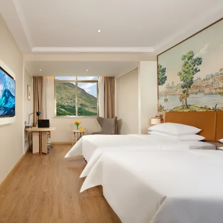 Vienna Hotel Rebo County store