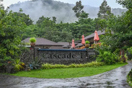 Cascade Tara