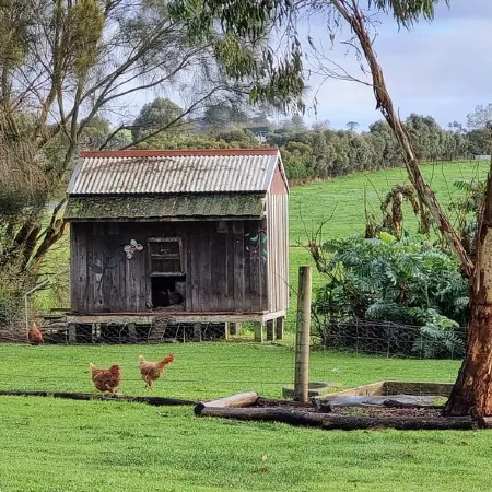 Colac Otway Caravan & Cabin Park