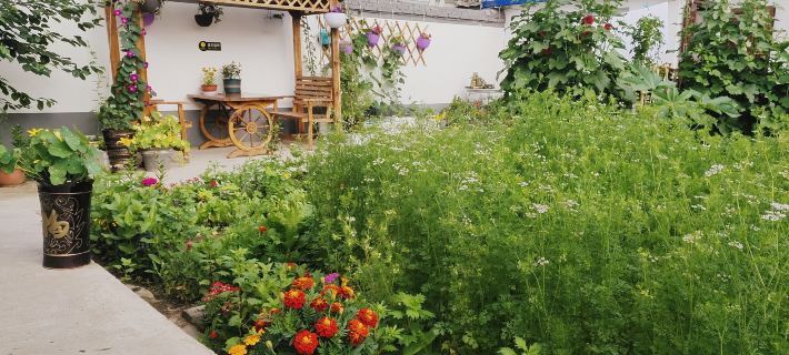 Dorongi Guest House Hotels in Duolun