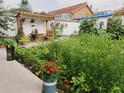 Dorongi Guest House - Pet friendly