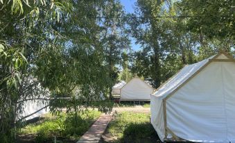 Mizhan Camping Base
