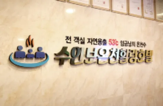 Suanbo Hot Spring Healing Hotel Hotels in Chungju