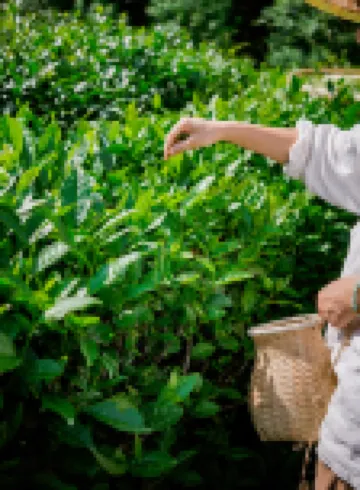 Dujiangyan Fangnanye Holiday Home