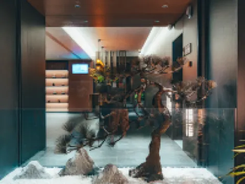 Emeishan Moke Zizi Hotel Hotels near Qingyin Pavilion