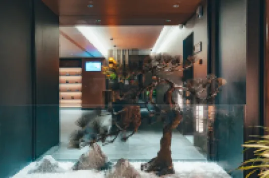 Emeishan Moke Zizi Hotel Hôtels à proximité de : Wannian Temple