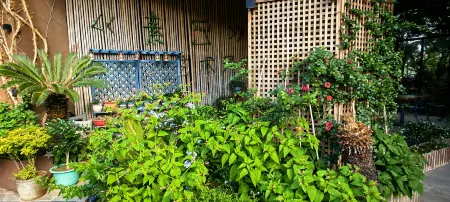 Suxie Art Guesthouse Отели рядом с достопримечательностью «Qiucheng City Ruins»