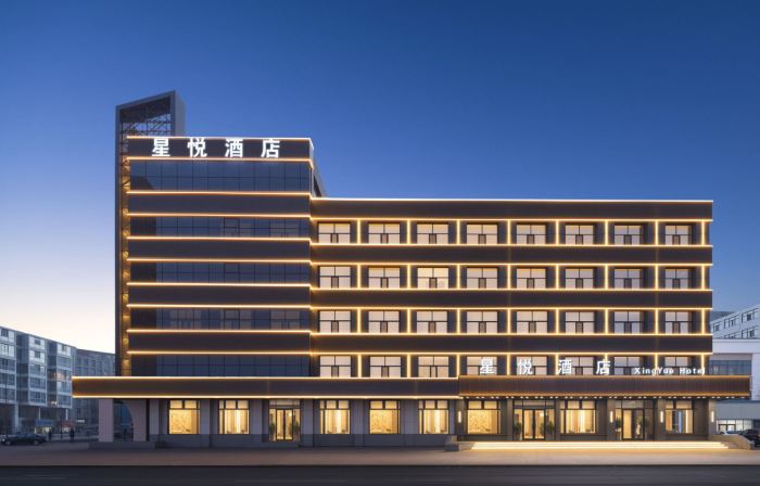 Xingyue Hotel (Dashang New Mart Jiamusi Station)
