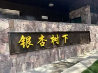 銀杏樹下民宿 - Pet Friendly