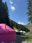 White Perch Grassland Homestay, Guozigou - بار