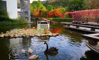 Relong Hot Spring Resort