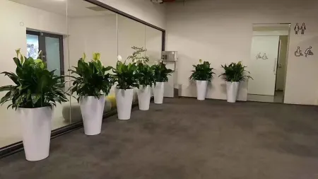 Qidong Jinyu Huating Youth Hui Apartment