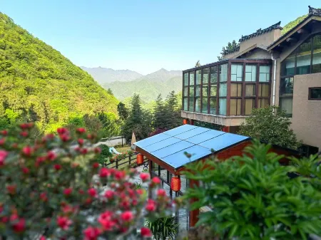 Group 3, Yinchanggou Village, Xichahe Town, Foping County, Shaanxi Province, China