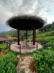Mogan Lingshang Tea Culture Hot Spring Villa - Huvilat