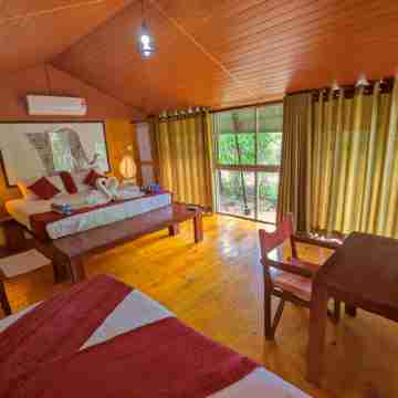 Yala Hotel Lion -Air Conditioned High Luxury Safari Camp Rooms