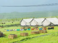Ergun Enhe Tongjian Natural Camp