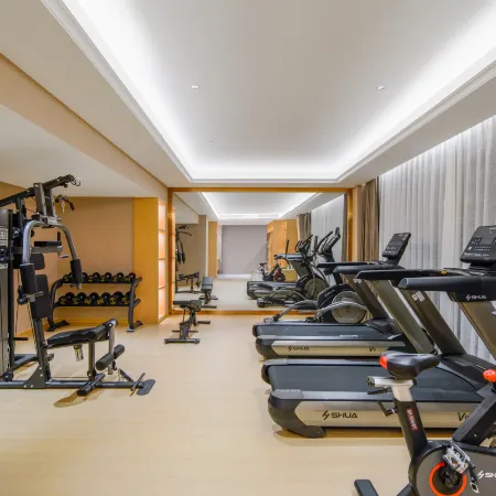 Vienna Hotel (Putian High-speed Railway Station)