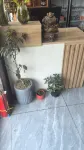 Jushengde Hotel (Zhengding Airport) - Parkering