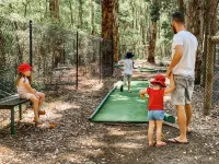 RAC Karri Valley Resort Hotels in Pemberton