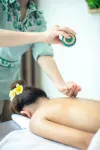 Skov River Resort - Spa
