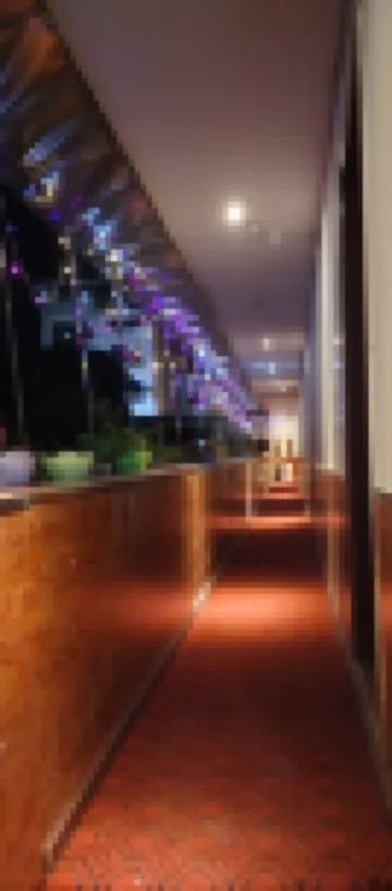 Xuanhan Jin'an Hotel