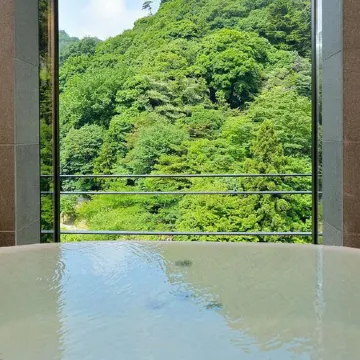 Arima Onsen Gekkoen Korokan