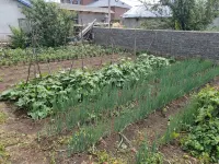 Jingpohusonghejiudian Các khách sạn ở Ninh An