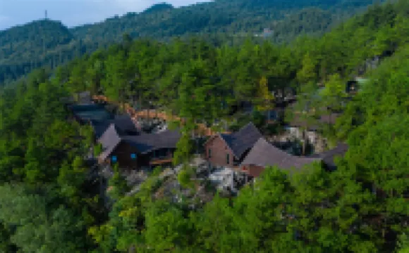 Youyang Taohuayuan Forest Hotel