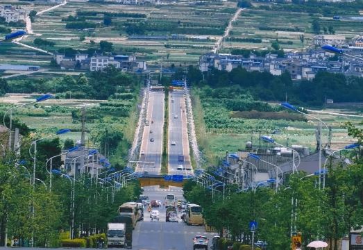 Yuchuanshu Guanshan Inn 고양이