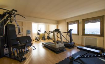 a well - equipped home gym with various exercise equipment , including treadmills , weight machines , and benches at Hotel Minerva