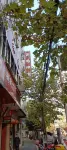 Yilong Tianfu - Inns