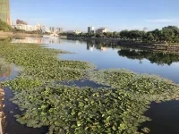 โรงแรม บ่อน้ำพุร้อนเว่ยหลง อู่หัว - น้ำพุร้อน